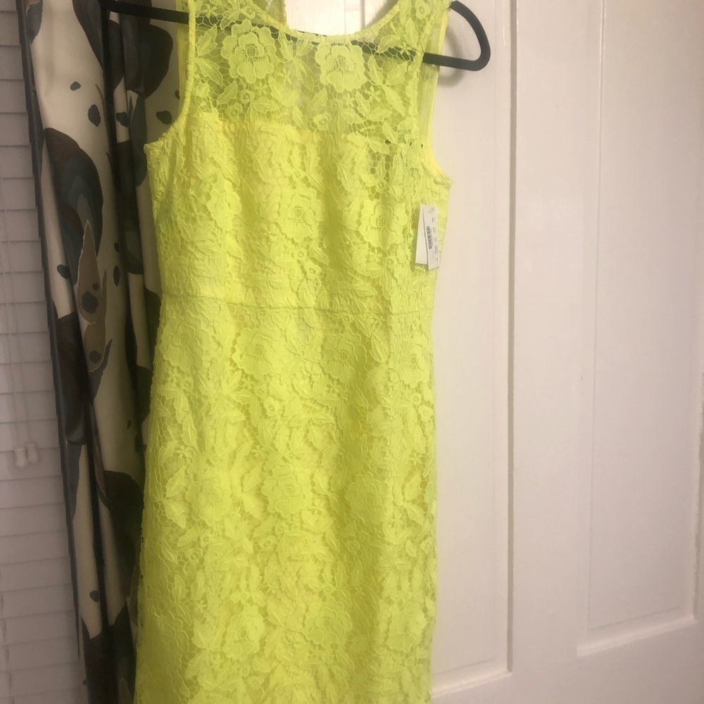 J. Crew Collection Lace Sheath Dress, size 6